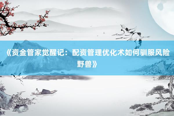 《资金管家觉醒记：配资管理优化术如何驯服风险野兽》