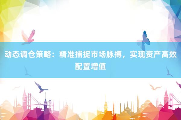 动态调仓策略：精准捕捉市场脉搏，实现资产高效配置增值