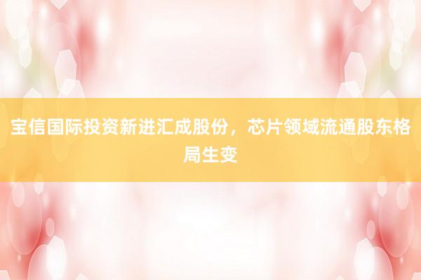 宝信国际投资新进汇成股份，芯片领域流通股东格局生变