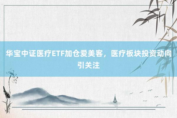 华宝中证医疗ETF加仓爱美客，医疗板块投资动向引关注