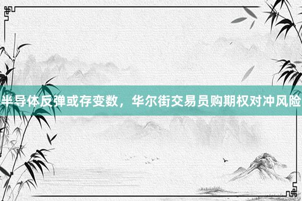 半导体反弹或存变数，华尔街交易员购期权对冲风险
