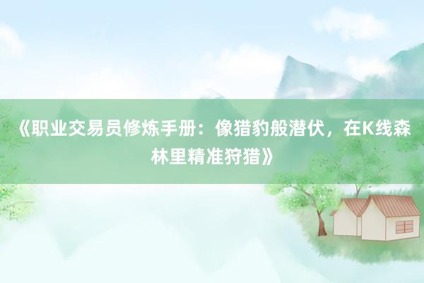 《职业交易员修炼手册：像猎豹般潜伏，在K线森林里精准狩猎》