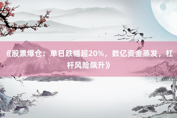 《股票爆仓：单日跌幅超20%，数亿资金蒸发，杠杆风险飙升》
